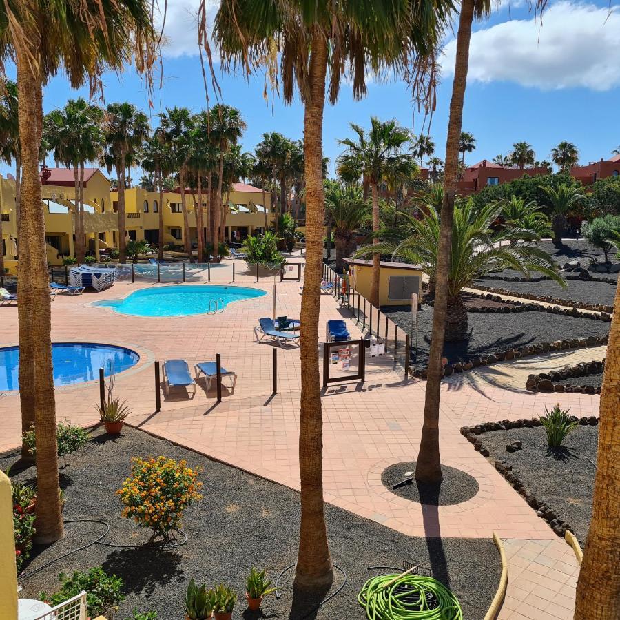 Oasis Royal F320 Apartment Corralejo Bagian luar foto